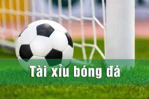 Cách đọc kèo tài xỉu bóng đá Cách đọc kèo tài xỉu bóng đá