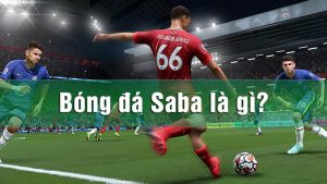 Bóng đá Saba là gì? Bóng đá Saba là gì?