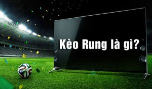 Tìm hiểu ý nghĩa và cách đọc kèo rung hiệu quả Tìm hiểu ý nghĩa và cách đọc kèo rung hiệu quả