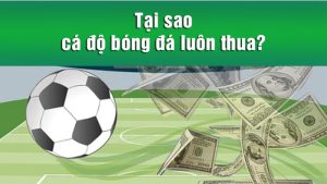 Tại sao cá độ bóng đá luôn thua Tại sao cá độ bóng đá luôn thua
