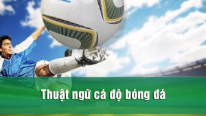 Thuật ngữ cá độ bóng đá Thuật ngữ cá độ bóng đá