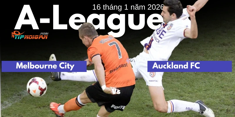 Tỷ lệ cược Perth Glory vs Brisbane Roar (Phân tích thị trường ban đầu)