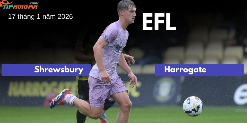 Dự đoán, Tỷ lệ cược & Mẹo cá cược trận Shrewsbury vs Harrogate 17 tháng 1 năm 2026