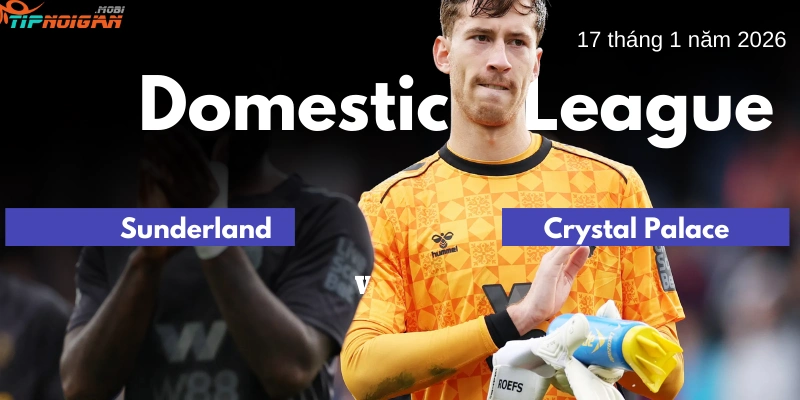Dự đoán, Tỷ lệ cược & Mẹo cá cược trận Sunderland vs Crystal Palace ngày 17 tháng 1 năm 2026