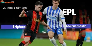 Dự đoán trận Brighton vs Bournemouth, Tỷ lệ cược & Mẹo cá cược ngày 20 tháng 1 năm 2026 Dự đoán trận Brighton vs Bournemouth, Tỷ lệ cược & Mẹo cá cược ngày 20 tháng 1 năm 2026