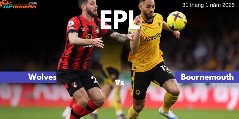 Dự đoán, Tỷ lệ cược & Mẹo cá cược trận Wolves vs Bournemouth 31 tháng 1 năm 2026