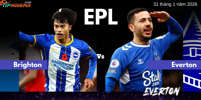Dự đoán, Tỷ lệ cược & Mẹo cá cược trận Brighton vs Everton 31 tháng 1 năm 2026