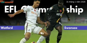 Dự đoán, Tỷ lệ cược & Mẹo cá cược trận Watford vs Swansea 31 tháng 1 năm 2026 Dự đoán, Tỷ lệ cược & Mẹo cá cược trận Watford vs Swansea 31 tháng 1 năm 2026