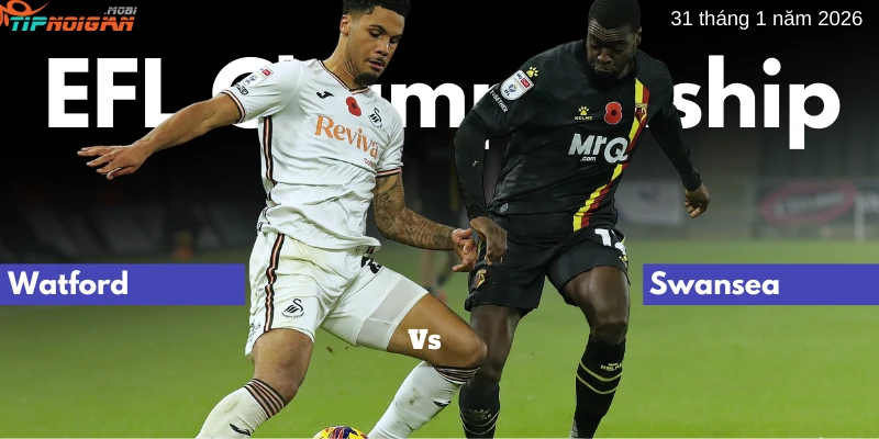 Dự đoán, Tỷ lệ cược & Mẹo cá cược trận Watford vs Swansea 31 tháng 1 năm 2026