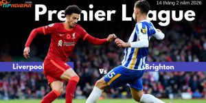 Soi kèo Liverpool vs Brighton ngày 14 tháng 2 năm 2026 Soi kèo Liverpool vs Brighton ngày 14 tháng 2 năm 2026