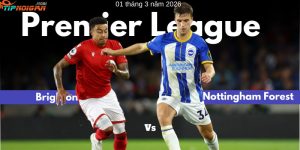 Brighton vs Nottingham Forest: Phân tích và soi kèo 01 tháng 3 năm 2026 Brighton vs Nottingham Forest: Phân tích và soi kèo 01 tháng 3 năm 2026