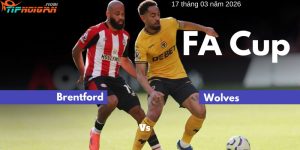 Thống kê trận Brentford vs Wolves | 17 tháng 3 năm 2026 Thống kê trận Brentford vs Wolves | 17 tháng 3 năm 2026