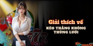 Giải thích về Kèo thắng không thủng lưới: Chiến lược, Ví dụ & Cẩm nang Chuyên gia Giải thích về Kèo thắng không thủng lưới: Chiến lược, Ví dụ & Cẩm nang Chuyên gia