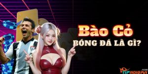 Bào Cỏ Bóng Đá Là Gì? Định Nghĩa Chi Tiết Từ Chuyên Gia Tipnoigian Bào Cỏ Bóng Đá Là Gì? Định Nghĩa Chi Tiết Từ Chuyên Gia Tipnoigian