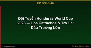 Đội Tuyển Honduras World Cup 2026 — Los Catrachos & Trở Lại Đấu Trường Lớn Đội Tuyển Honduras World Cup 2026 — Los Catrachos & Trở Lại Đấu Trường Lớn